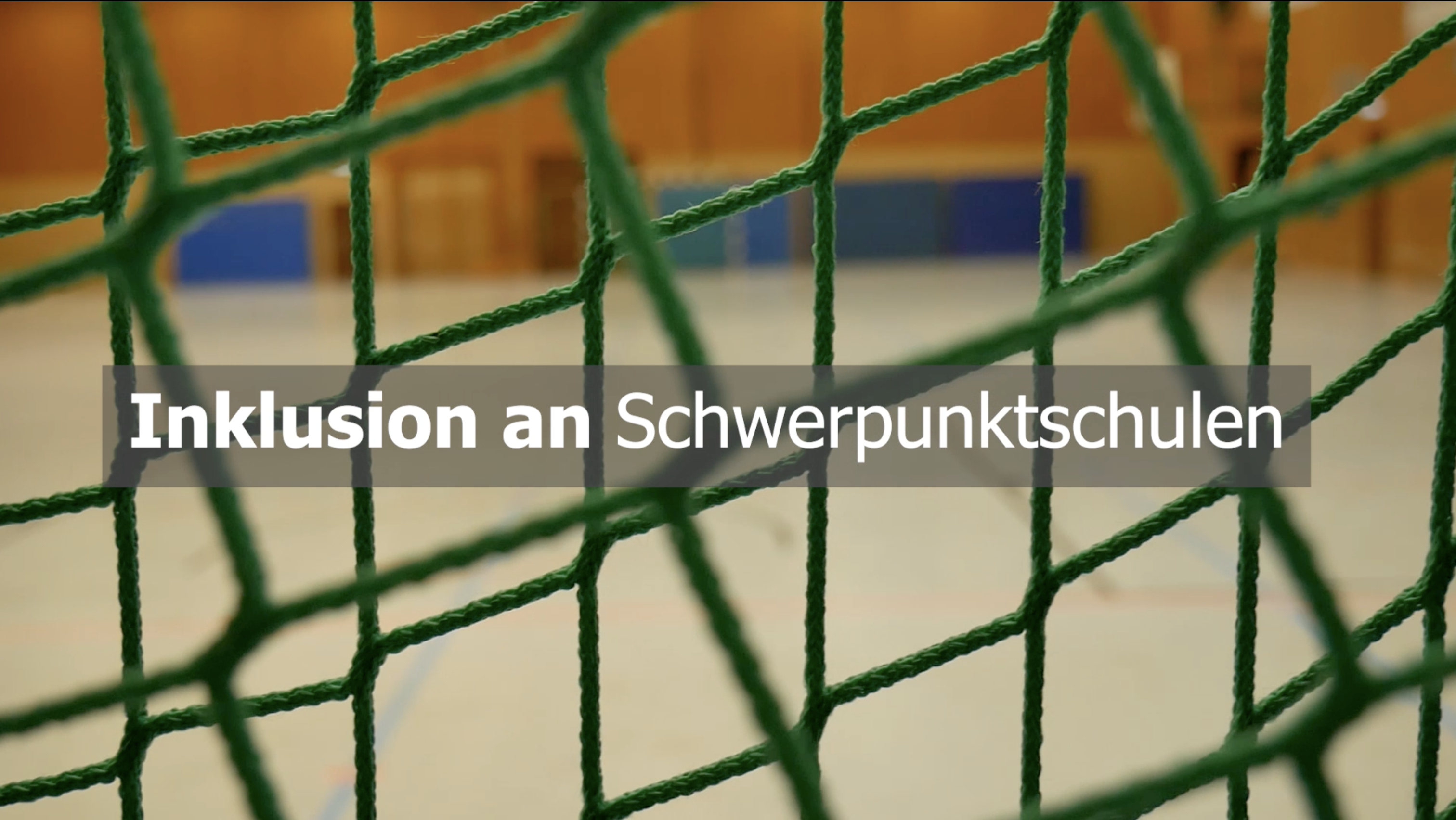 Inklusion an Schwerpunktschulen